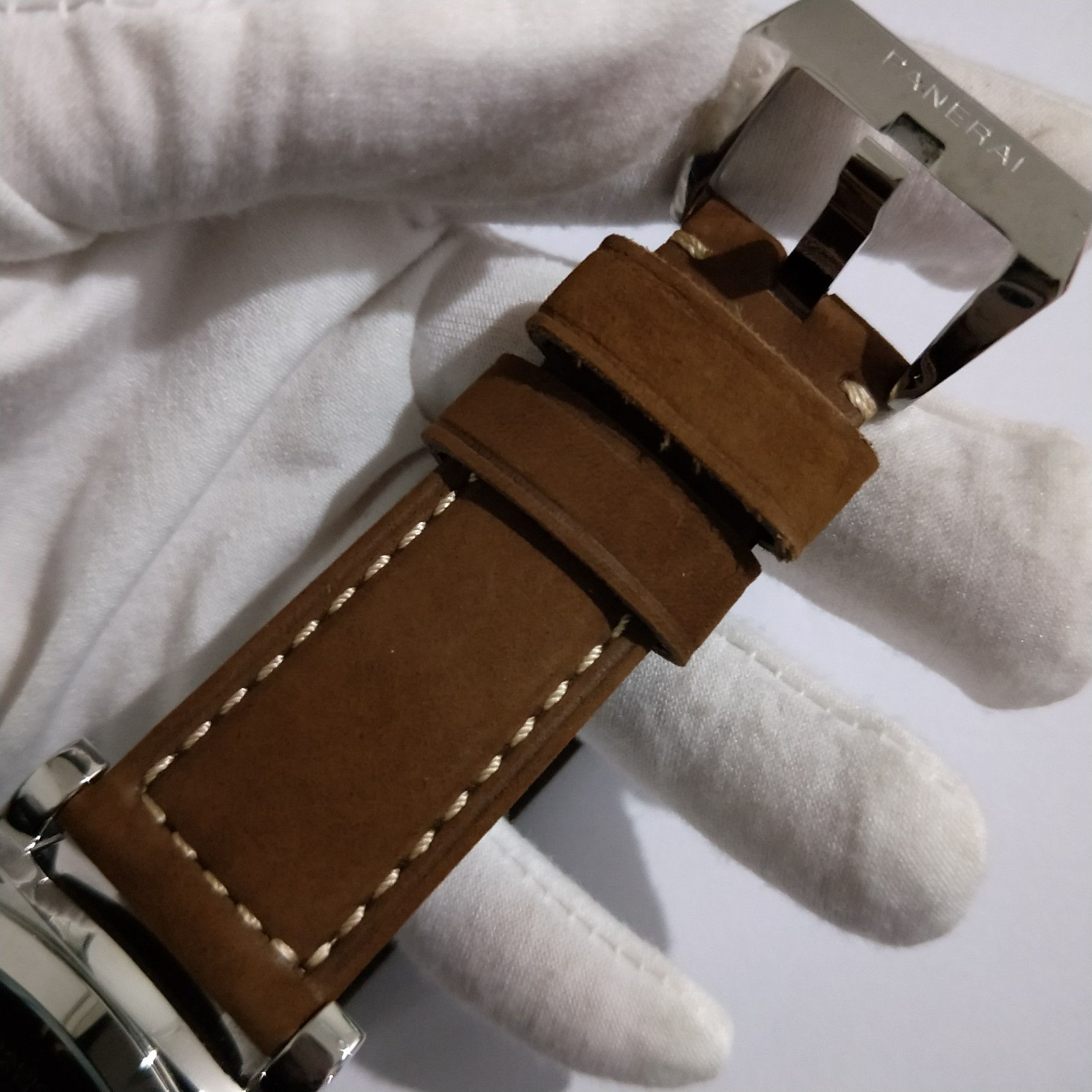 PAM00619